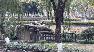 横塘桥