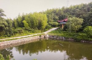 放生池