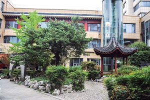 朱园|罗汉松