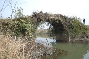 三建村环桥|王店