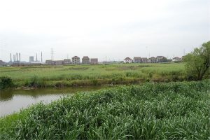 周家湾遗址|大桥