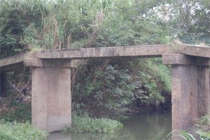 观音桥|平湖市