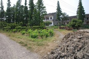 黄姑庵遗址|余新